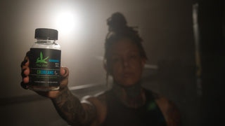 Christine Ferea’s Rise to the Queen of Violence